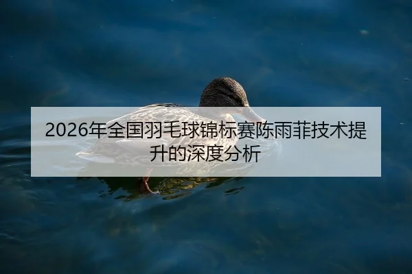 2026年全国羽毛球锦标赛陈雨菲技术提升的深度分析