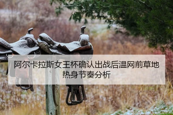 a-er-ka-la-si-nv-wang-bei-que-ren-chu-zhan-hou-wen-wang-qian-cao-di-re-shen-jie-zou-fen-xi-2-163.jpg